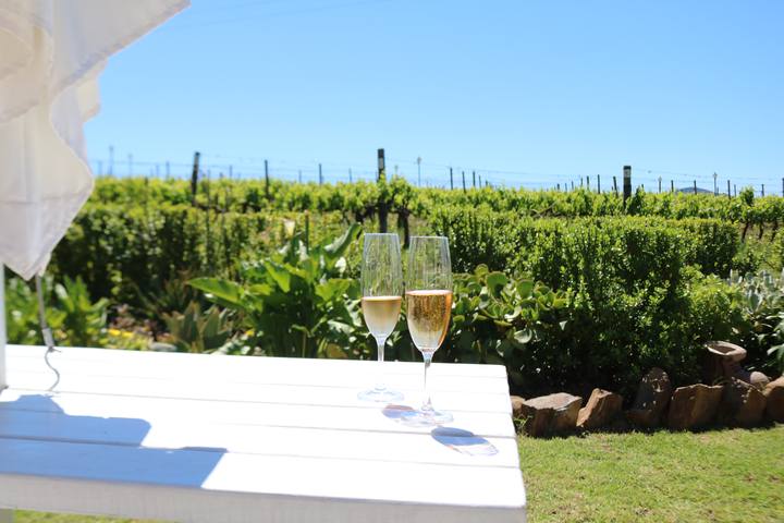 Two glasses of sparkling wine on a white table with the vineyard behind