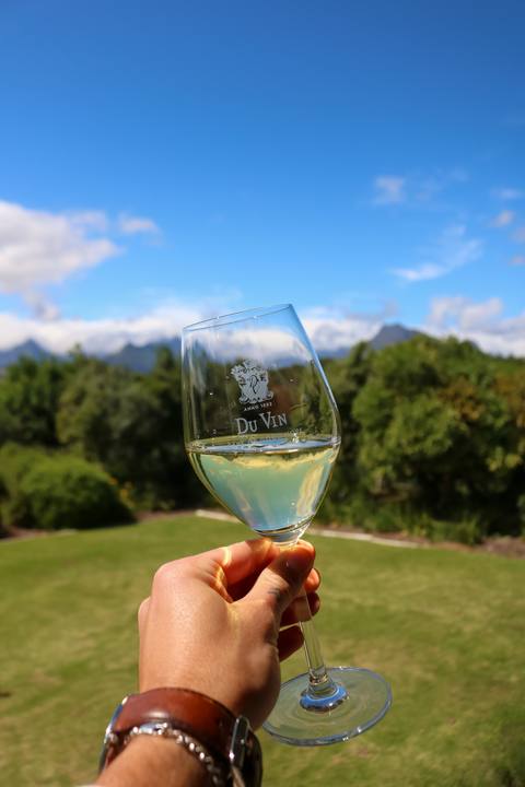 A hand holding a glass of white wine in the garden