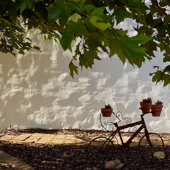 Vintage bicycle with flower pots against a white wall