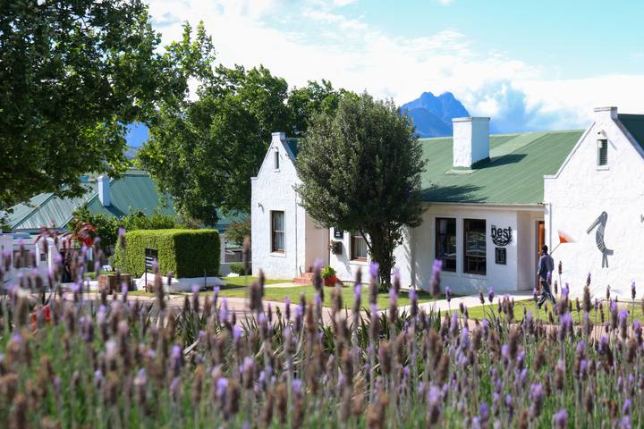 Farm buildings with lavender in the foreground