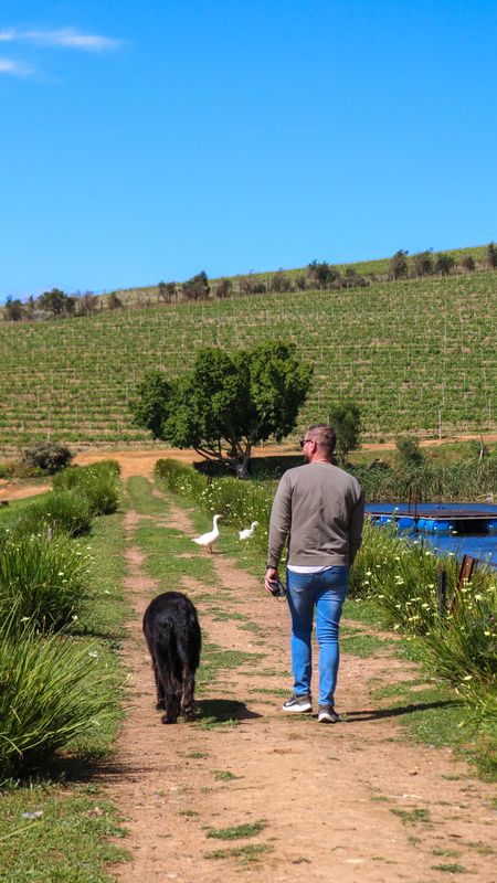 A man walking his dog along the farm path beside the dam
