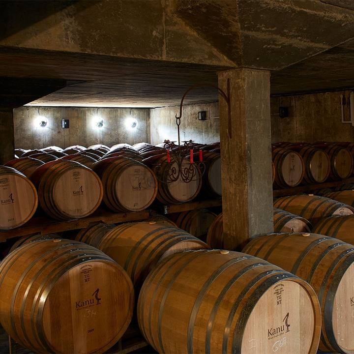 Oak barrels in the cellar under spotlights