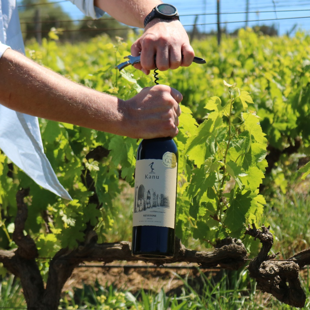 Opening a bottle of Keystone 2022 with a corkscrew among the vines at Kanu