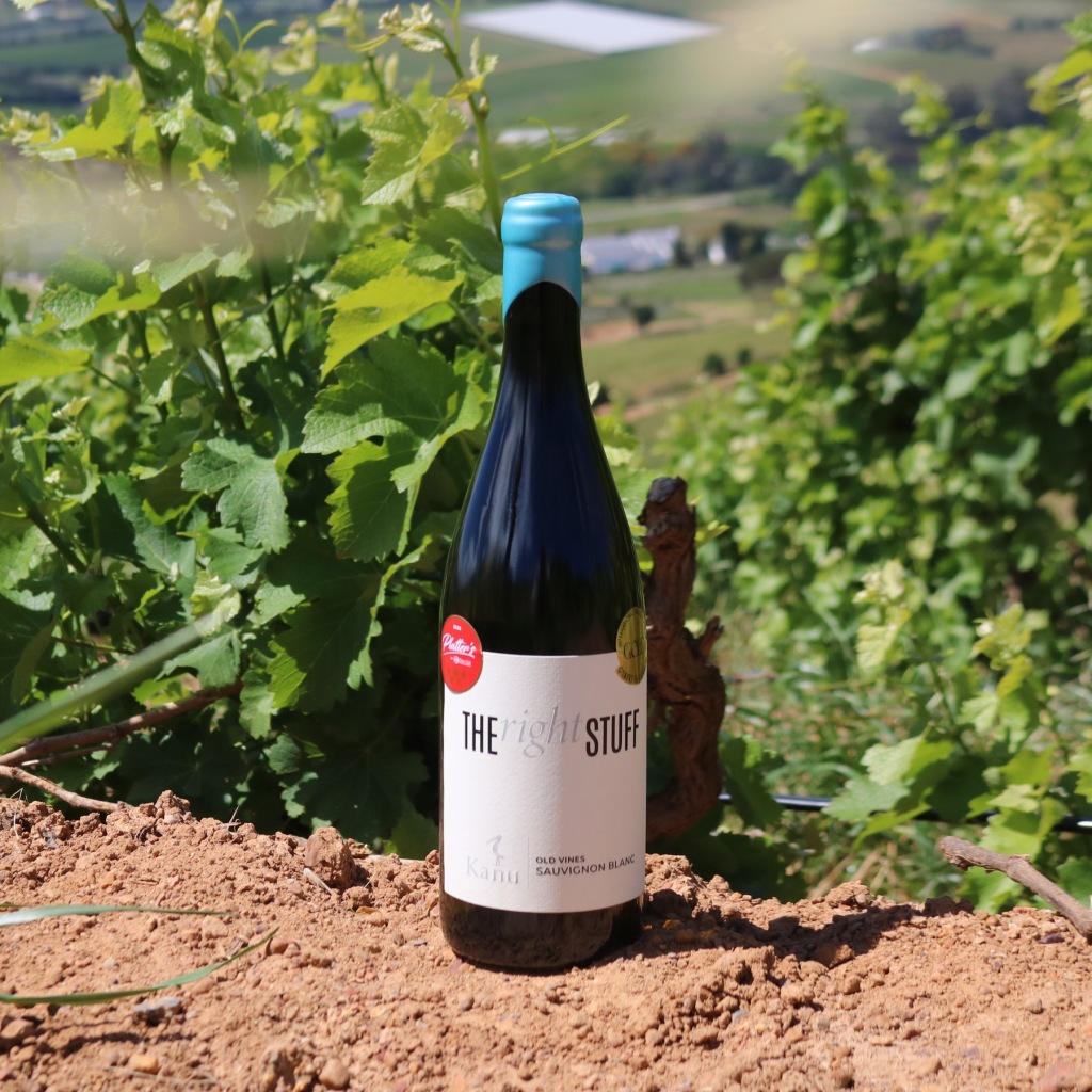 The Right Stuff Old Vines Sauvignon Blanc standing among the vines on red soil